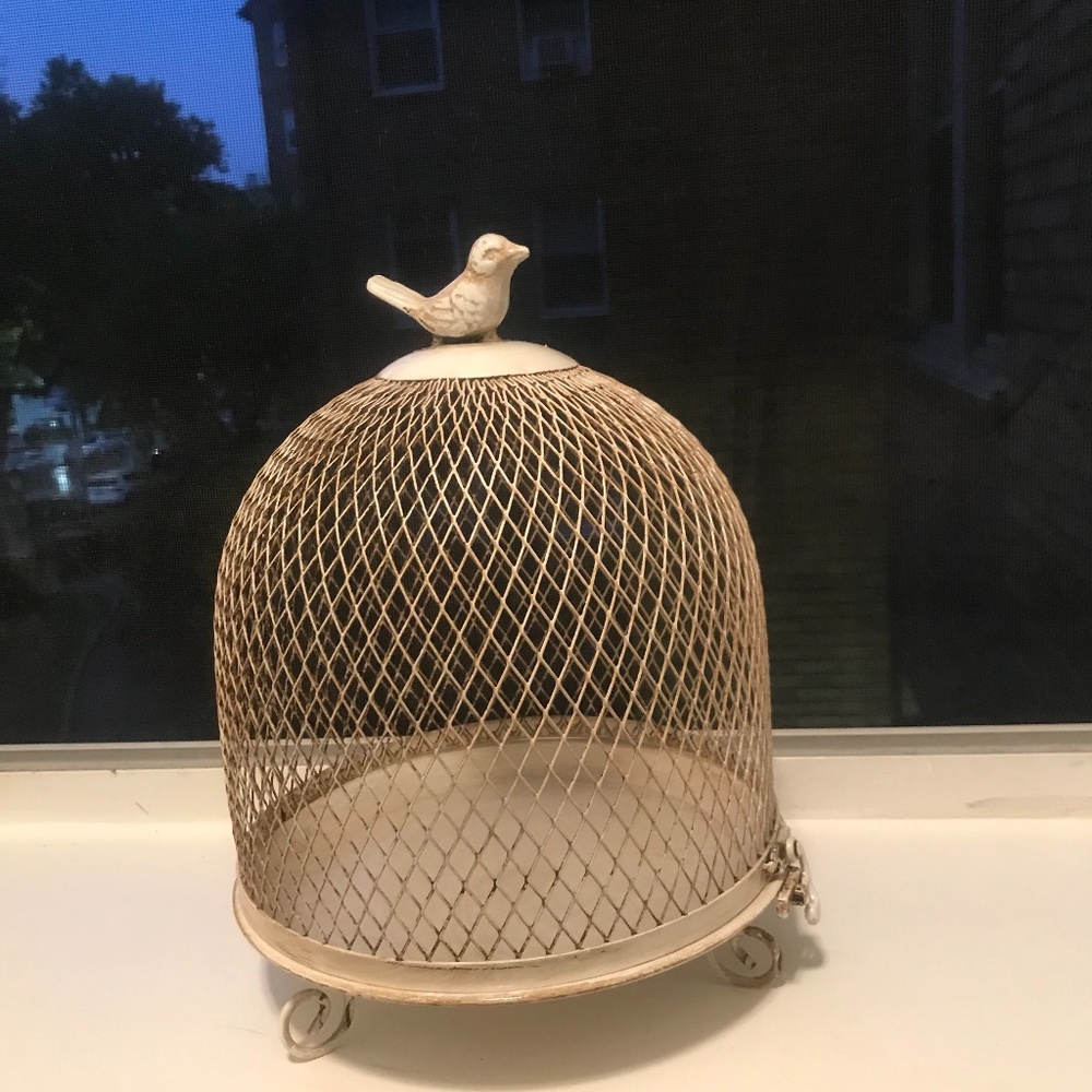 decorative bird cage